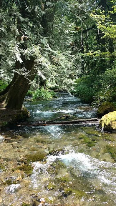 Raab Campground Picture 5