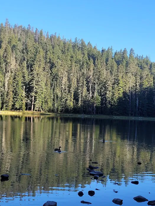 Upper Twin Lake Campground Picture 8