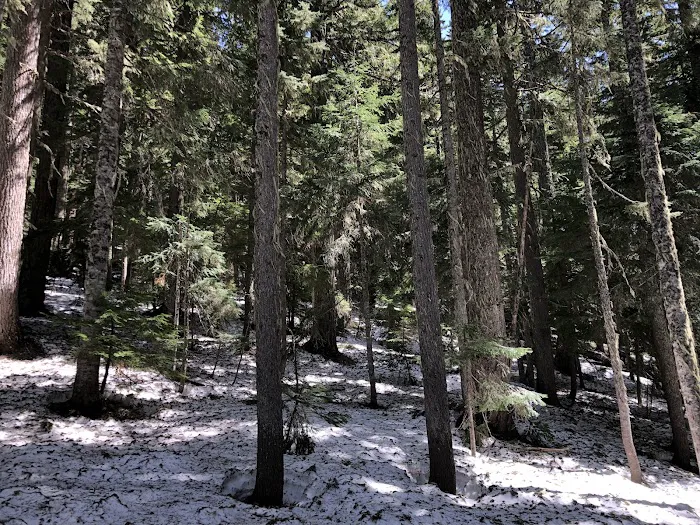 Upper Twin Lake Campground Picture 7