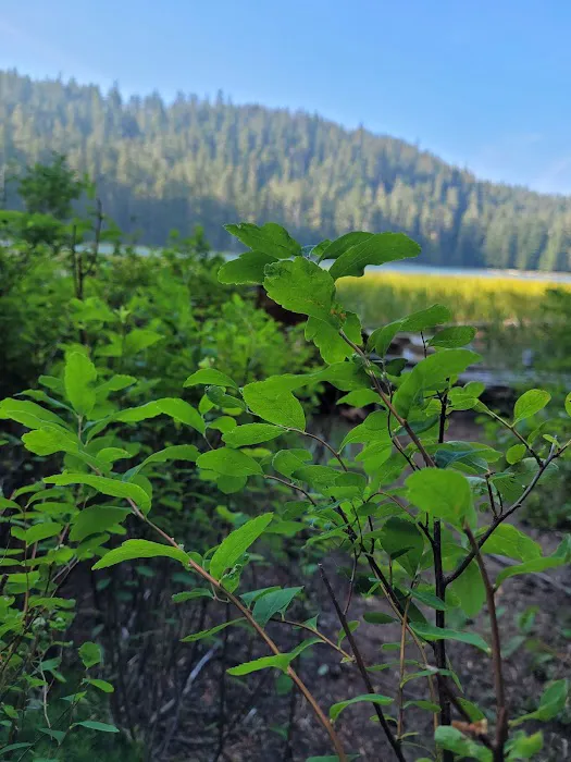 Upper Twin Lake Campground Picture 5