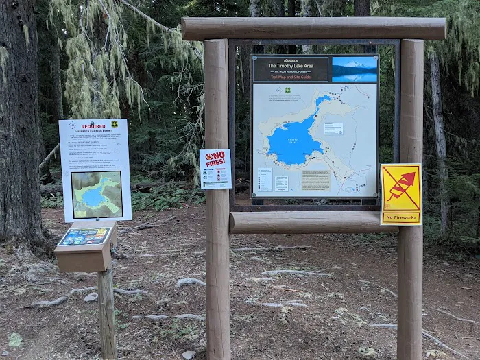 North Arm (Timothy Lake) Campground Picture 2