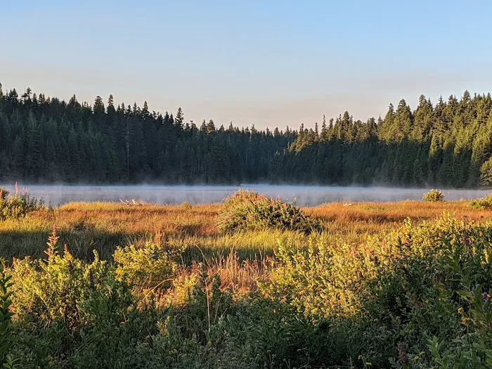 North Arm (Timothy Lake) Campground Picture 1
