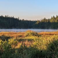 North Arm (Timothy Lake) Campground ico