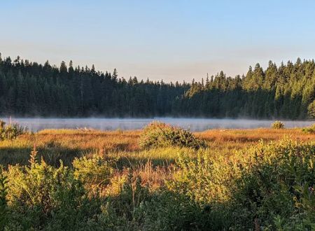 North Arm (Timothy Lake) Campground