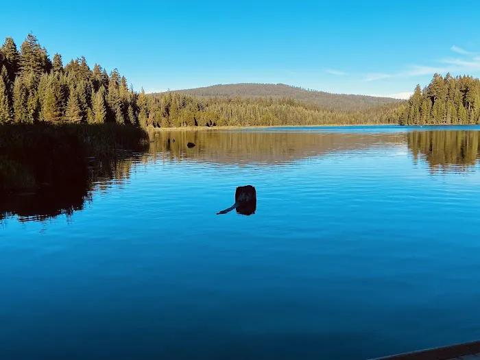 North Arm (Timothy Lake) Campground Picture 7