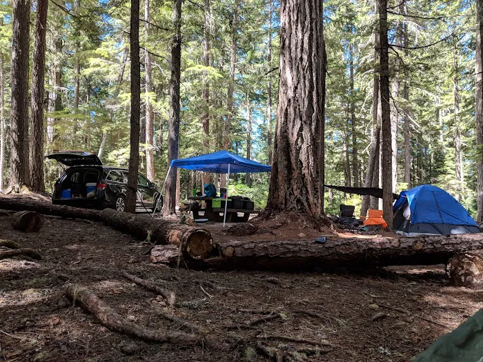North Arm (Timothy Lake) Campground Picture 10