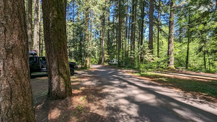 Silver Falls Campground Picture 8