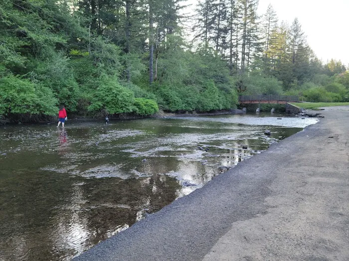 Silver Falls Campground Picture 1