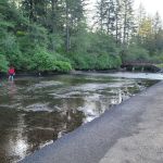 Silver Falls Campground