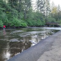 Silver Falls Campground ico