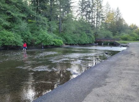 Silver Falls Campground