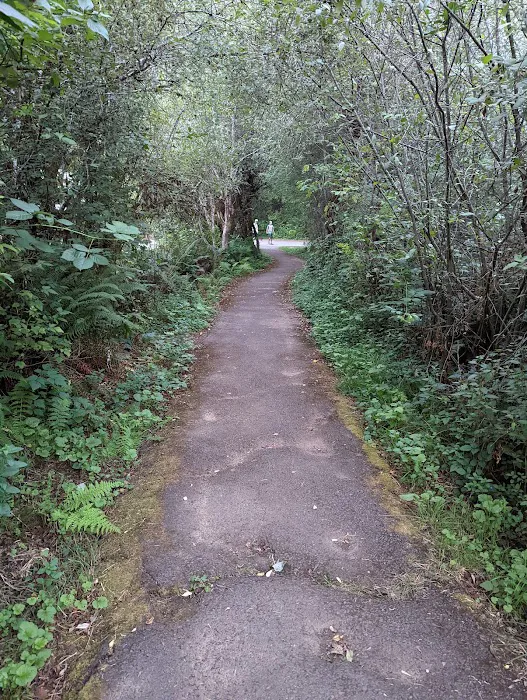 Silver Falls Campground Picture 7