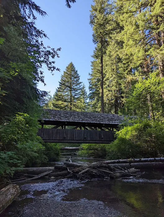 Silver Falls Campground Picture 10