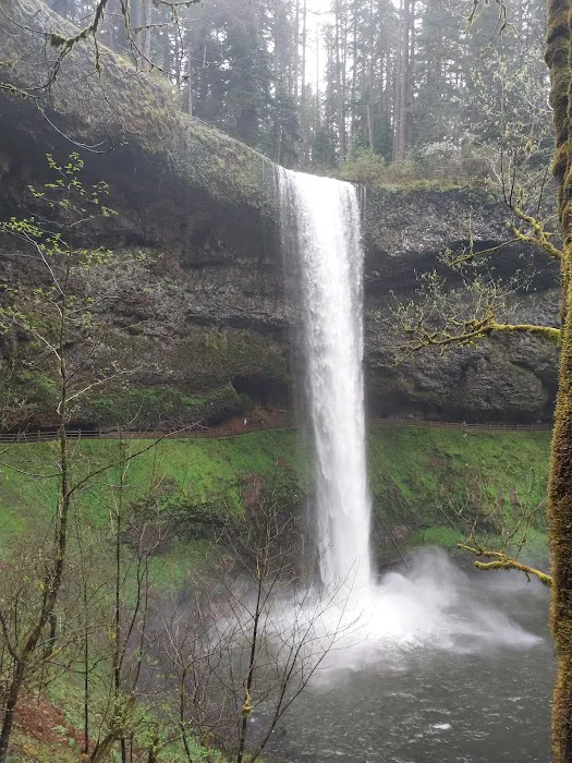 Silver Falls Campground Picture 9