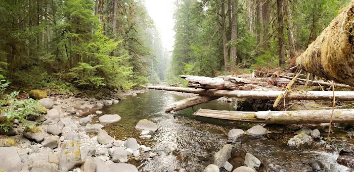 Bagby Hot Springs Campground Picture 4