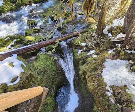 Bagby Hot Springs Campground