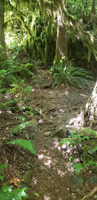 Elkhorn Valley Recreation Site Picture 5