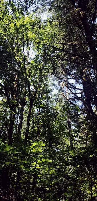 Elkhorn Valley Recreation Site Picture 1