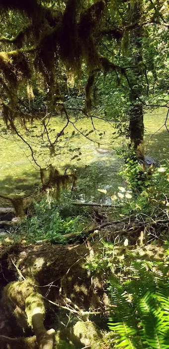 Elkhorn Valley Recreation Site Picture 3