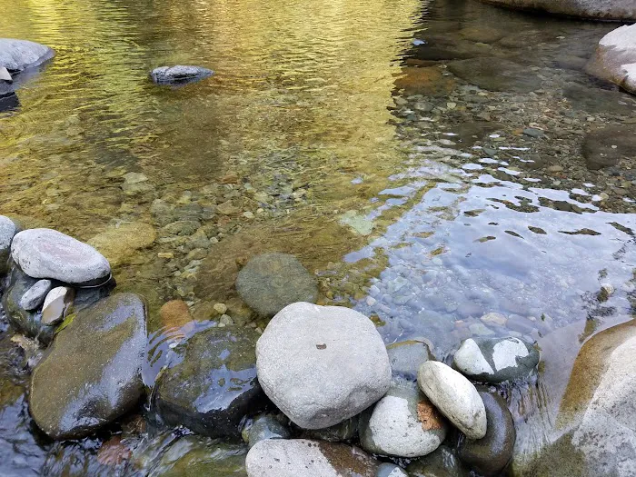 Elkhorn Valley Recreation Site Picture 4