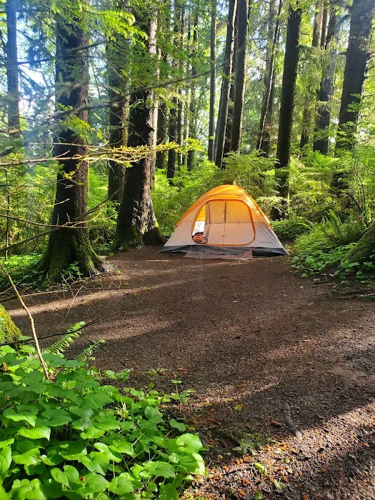 Wright's For Camping Picture 4