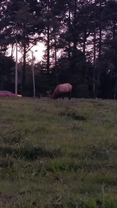Wright's For Camping Picture 3