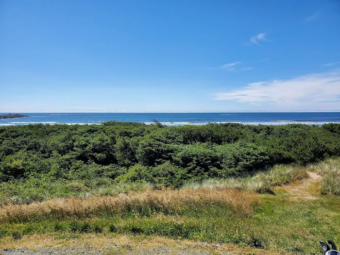 Barview Jetty County Campground Picture 4