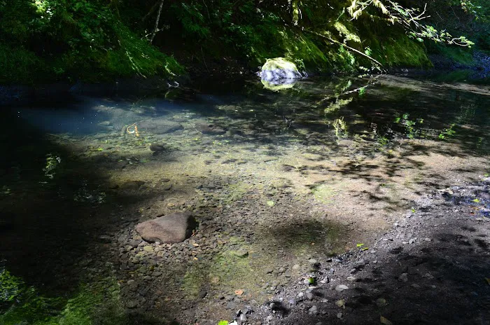 Fan Creek Campground Picture 9