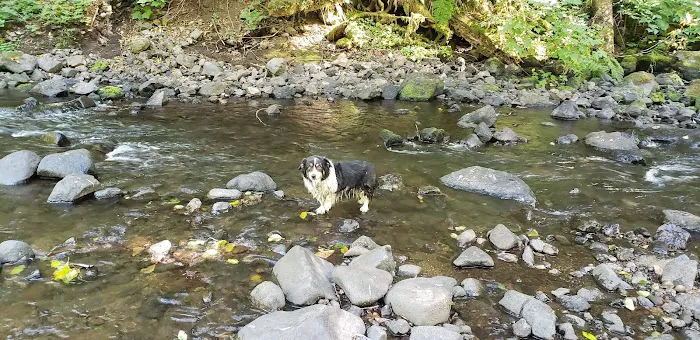 Fan Creek Campground Picture 4