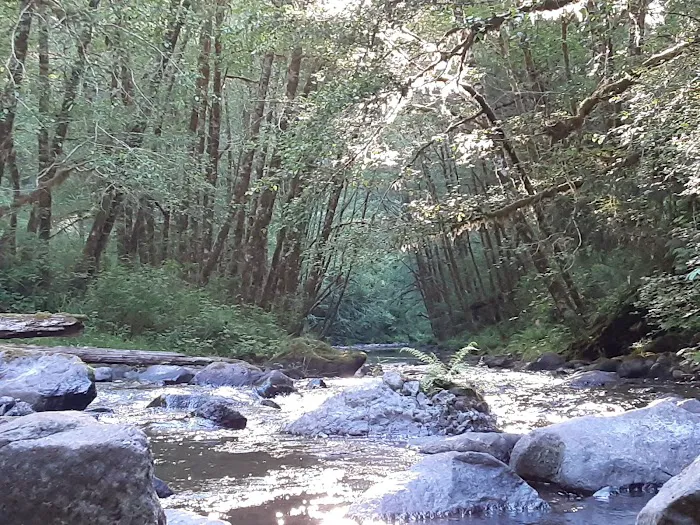 Fan Creek Campground Picture 10