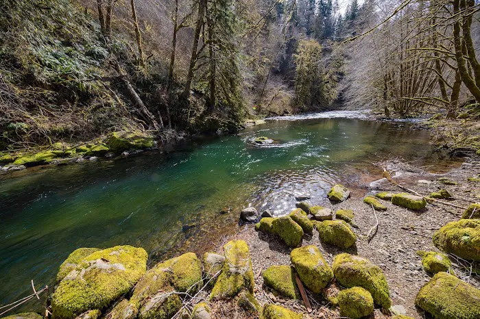 Nestucca River Recreation Area Picture 10