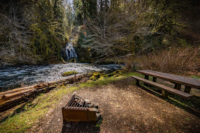 Alder Glen Recreation Site Picture 8