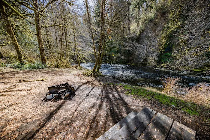 Alder Glen Recreation Site Picture 10