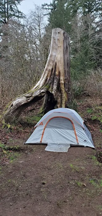 Alder Glen Recreation Site Picture 5