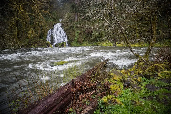 Alder Glen Recreation Site Picture 9