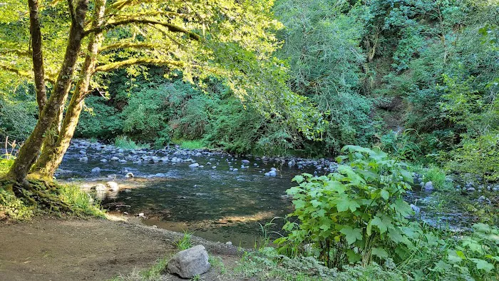 Alder Glen Recreation Site Picture 1