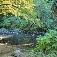 Alder Glen Recreation Site ico