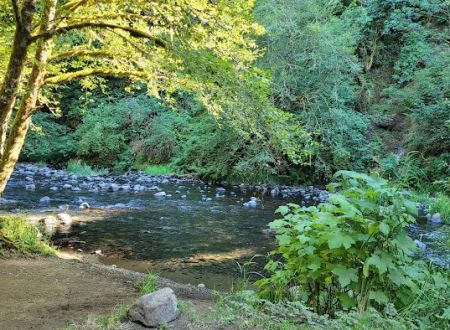 Alder Glen Recreation Site
