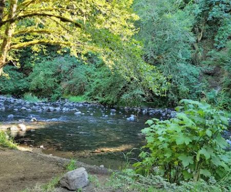 Alder Glen Recreation Site