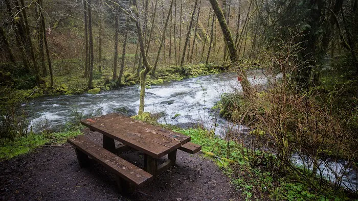 Alder Glen Recreation Site Picture 3