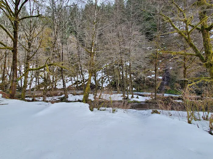 Rocky Bend Campground Picture 6