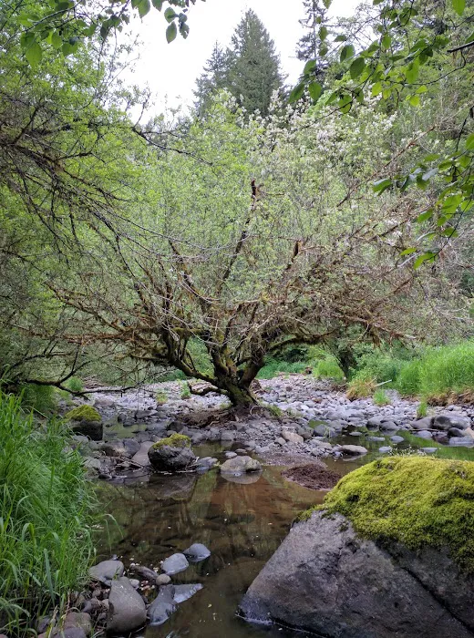 Rocky Bend Campground Picture 1
