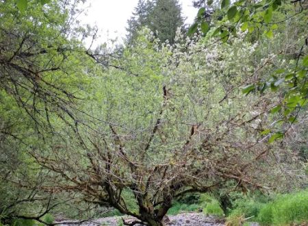 Rocky Bend Campground