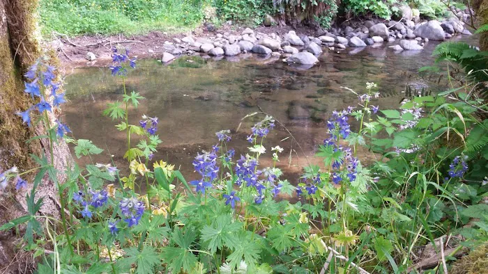 Powder Creek Campground Picture 3