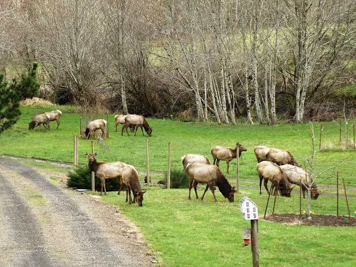 Powder Creek Campground Picture 10