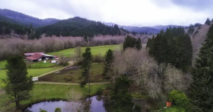 Powder Creek Campground Picture 4