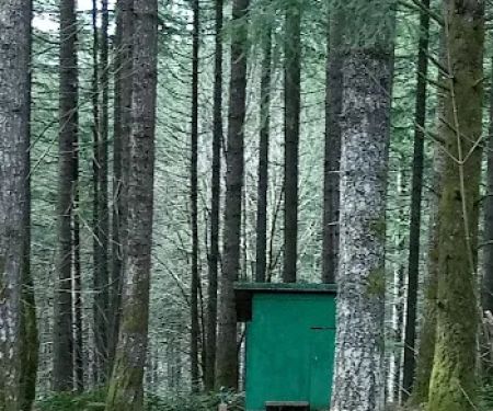 Camp Smith