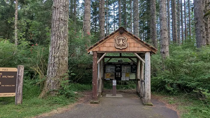 Hebo Lake Campground Picture 1