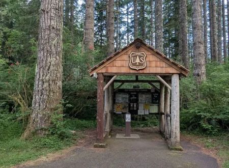 Hebo Lake Campground