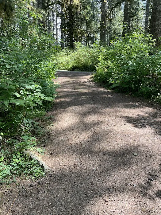 Hebo Lake Campground Picture 5